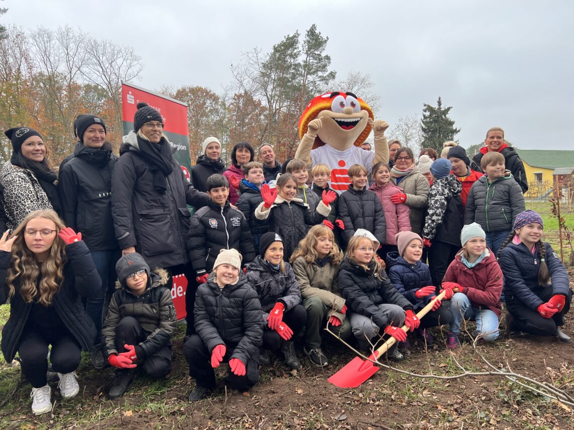 Pflanzaktion Der Sparkasse Spree Nei E Neue B Ume F R Branitz