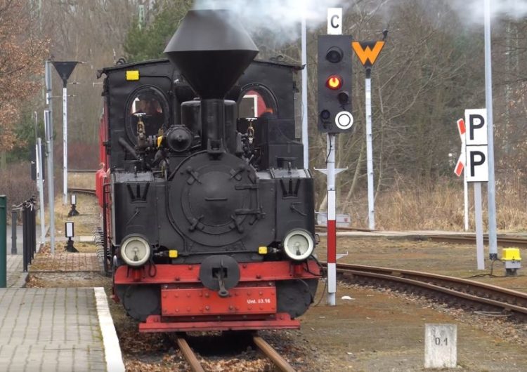 Brigadampflok Cottbus Parkeisenbahn