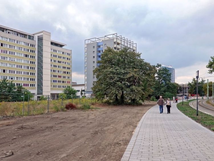 Verkehrsclub und ProTramCottbus fordern Verkehrswende in der Stadt