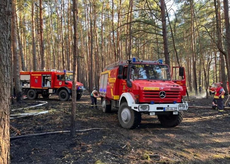 Waldbrand In Märkische Heide Fordert Feuerwehren | NIEDERLAUSITZ Aktuell