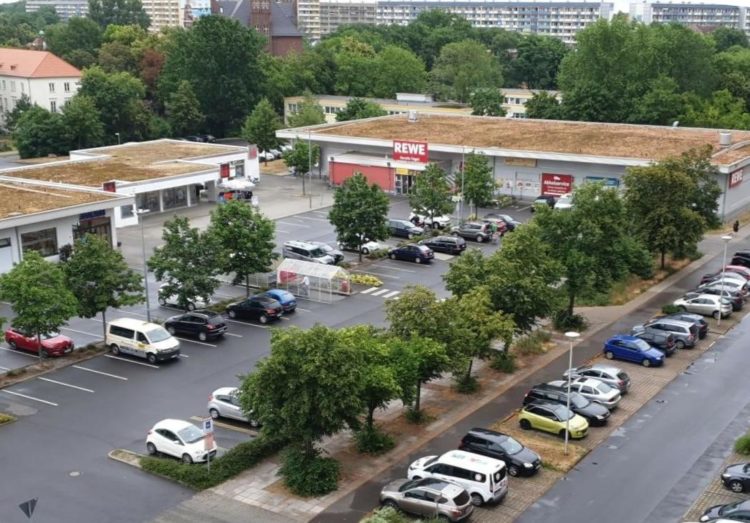 REWE Markt in Cottbus Sandow in der Georg-Schlesinger Straße; Foto: Niederlausitz aktuell