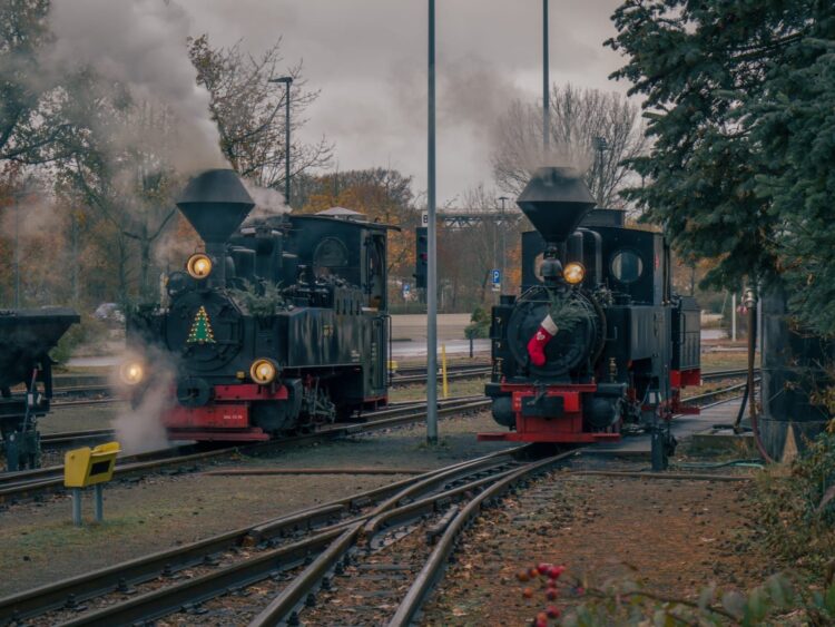 Förderverein Cottbuser Parkeisenbahn 