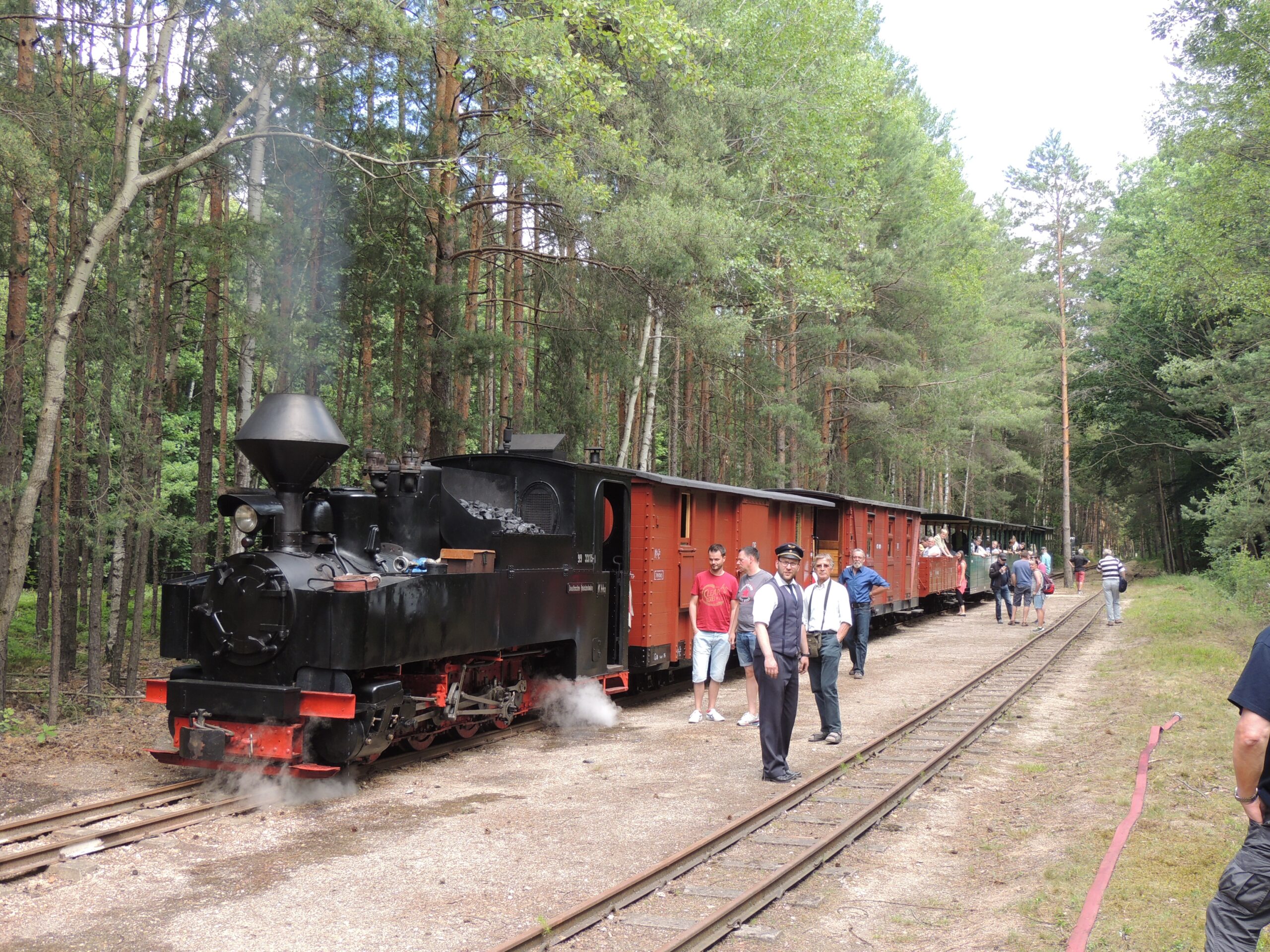 Waldeisenbahn Muskau 