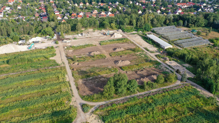 elände nach dem Rückbau der Gewächshäuser – hier entstehen die Pflanzquartiere der Baumuniversität und Agroforstflächen (Bild: SFPM)