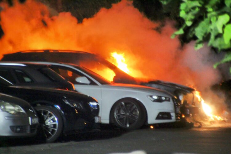 Drei Autos brannten in Cottbus; Blaulichtreport Lausitz