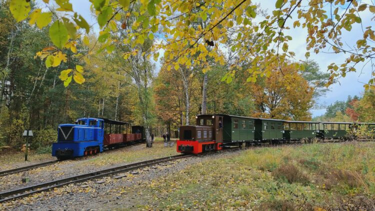 Waldeisenbahn Muskau 