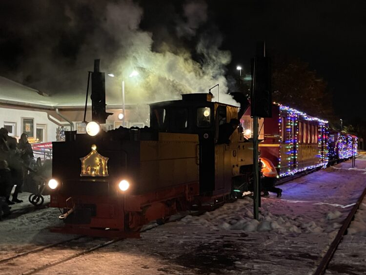 Parkeisenbahn Cottbus 