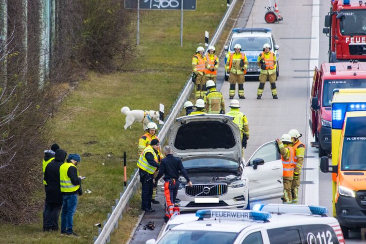 Bild: Blaulichtreport Lausitz