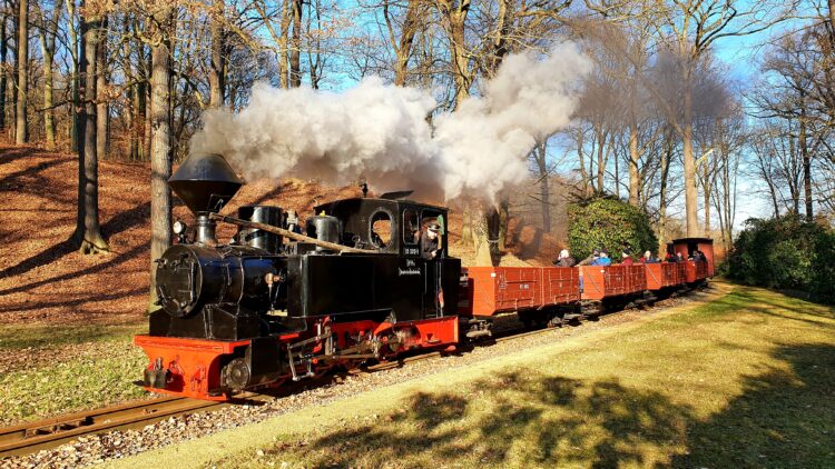 Waldeisenbahn Muskau 