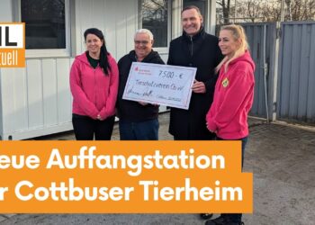 Neue Tierauffangstation für Fundtiere im Cottbuser Tierheim